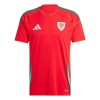 Wales Voetbalshirt Thuis 2024 Wales Voetbalshirt Thuis 2024